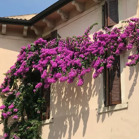 My On The River Apartment Verona